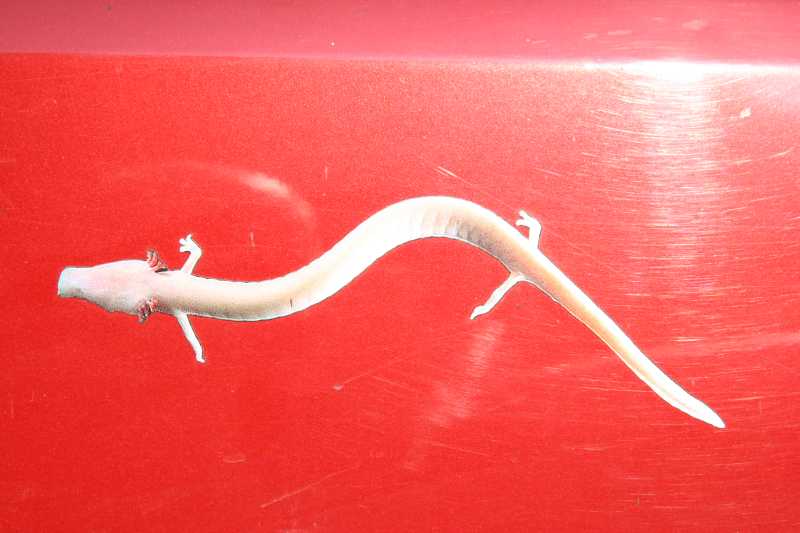 P. Jakopin, 12.10.2008, posnetki